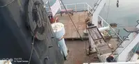 散货船 待售