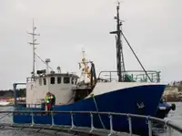 Trawler 出售