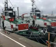 拖船 待售