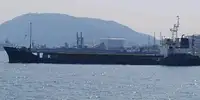 散货船 出售