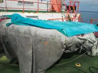 拖船 待售