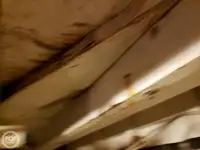 渡轮 待售