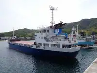 散货船 出售