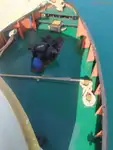 拖船 待售