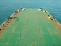散货船 待售
