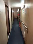 集装箱船 待售