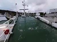 散货船 待售