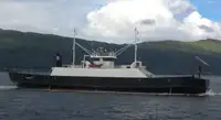 滚装船 待售