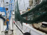 拖网渔船 待售