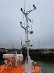 拖船 待售