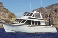 客船 出售