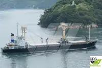 散货船 待售