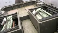拖船 待售