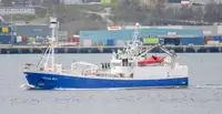 Purse seiner 出售