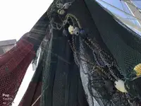 拖网渔船 待售