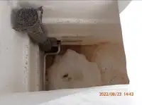 围网渔船 待售