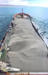 集装箱船 待售