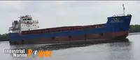 集装箱船 出售