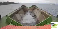 驳船 待售