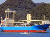 General Cargo/Multi-purpose 待售