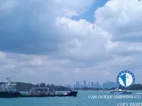 油/化学品油轮 待售