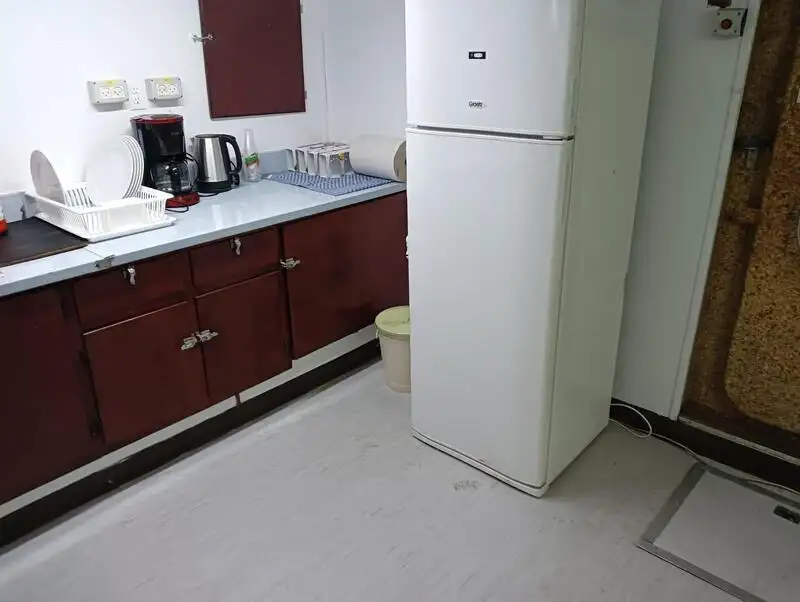 集装箱船 待售