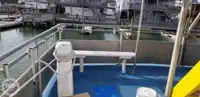 双体船 待售