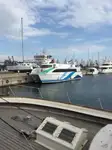 双体船 待售