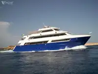 潜水支持 出售