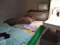 切船 待售