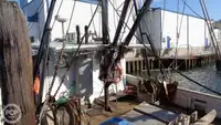 拖网渔船 待售