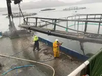 工作船 待售