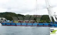 驳船 待售