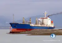 冷藏船 待售