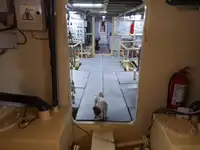 General Cargo/Multi-purpose 待售