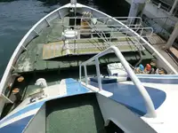 邮轮 待售