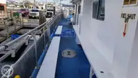 双体船 待售