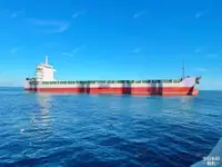 集装箱船 出售