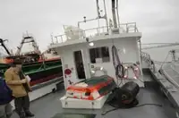引航船 待售