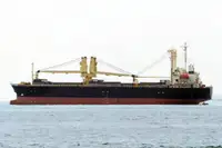 散货船 出售