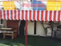 集装箱船 待售