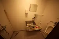 散货船 待售