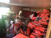 集装箱船 待售
