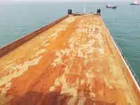 散货船 待售