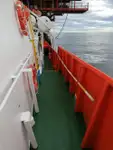 船员船 待售