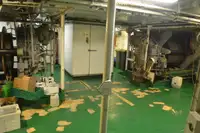 集装箱船 待售