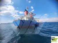 散货船 待售