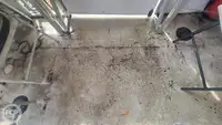 邮轮 待售