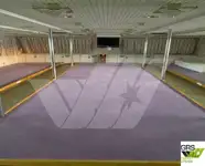 滚装船 待售