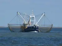 Trawler 出售